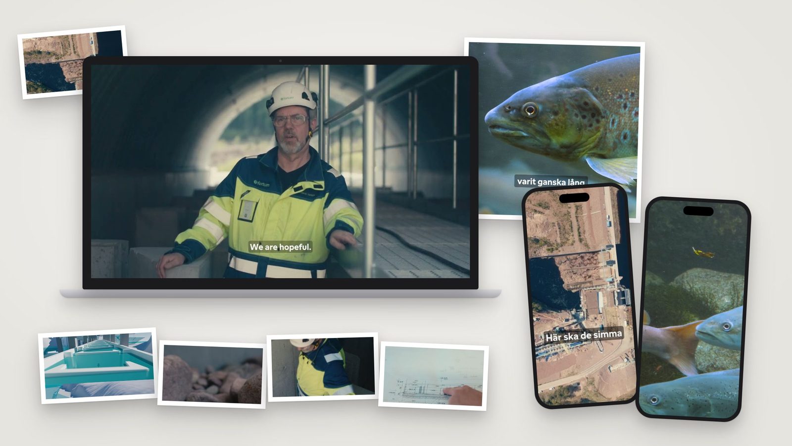 The fish passage film for Fortum on a laptop, a square and two vertical versions on phones, and stills of the construction, a 3D model and a trout.